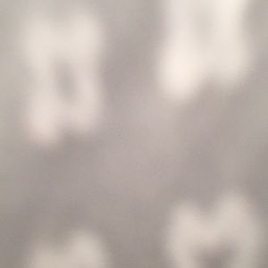 Meet your Posher, Gagabriella